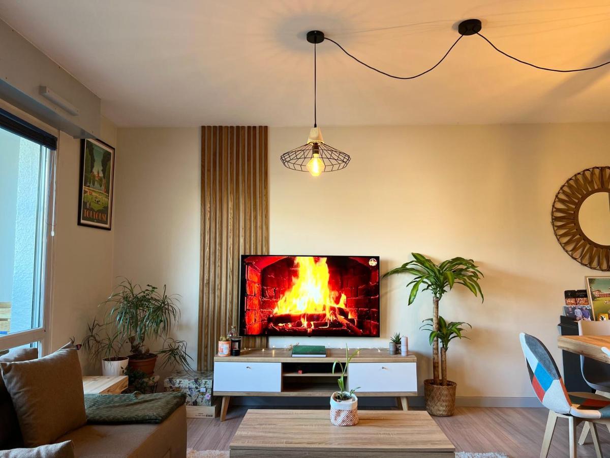 Le Zenith - T2 Chaleureux Et Lumineux Apartment Toulouse Bagian luar foto